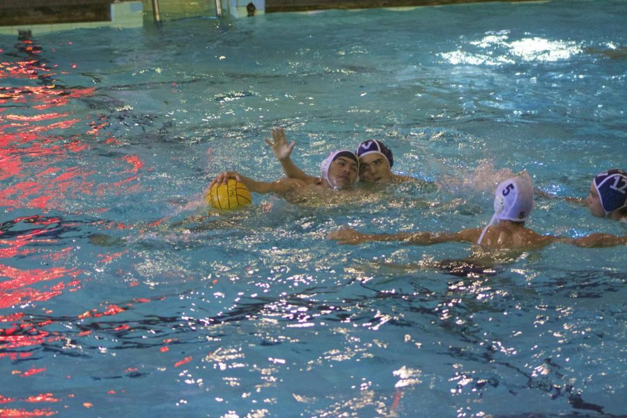 Venices+waterpolo+team+in+a+home+game+against+LACES.