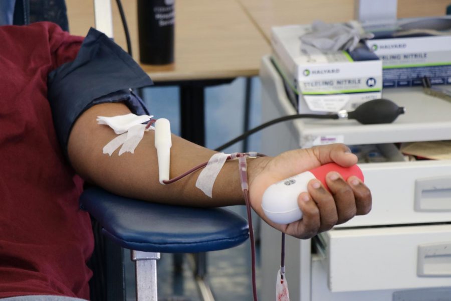 175 students donated blood this semester.