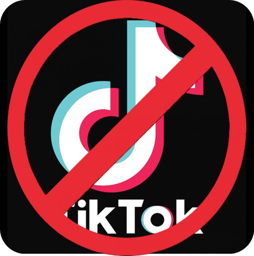 Uncovering the TikTok Algorithm and the apps Racial Bias