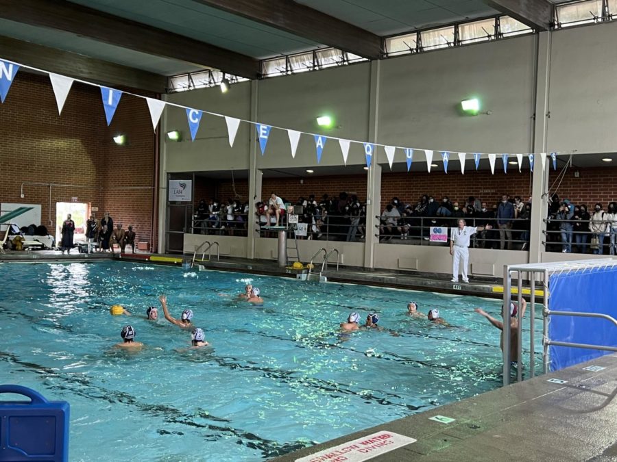 Boys Waterpolo’s End to 2021 Playoffs