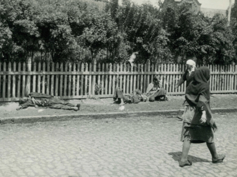 “Remember, It’s Wrong to Eat Your Children:” Chronicles of the Ukrainian Genocide
