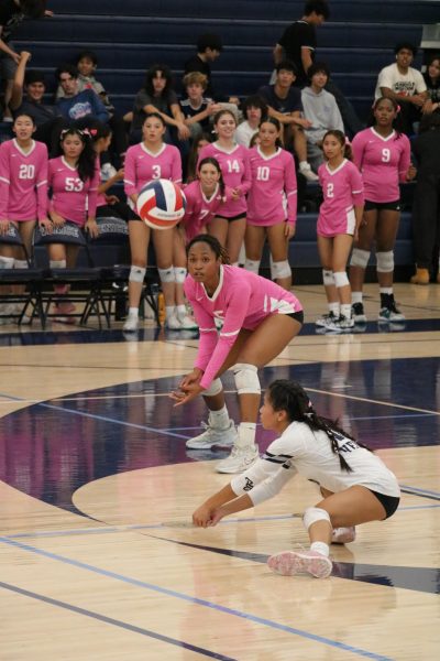 Girls’ Volleyball, 30-4, To Celebrate Senior Night Vs. Fairfax