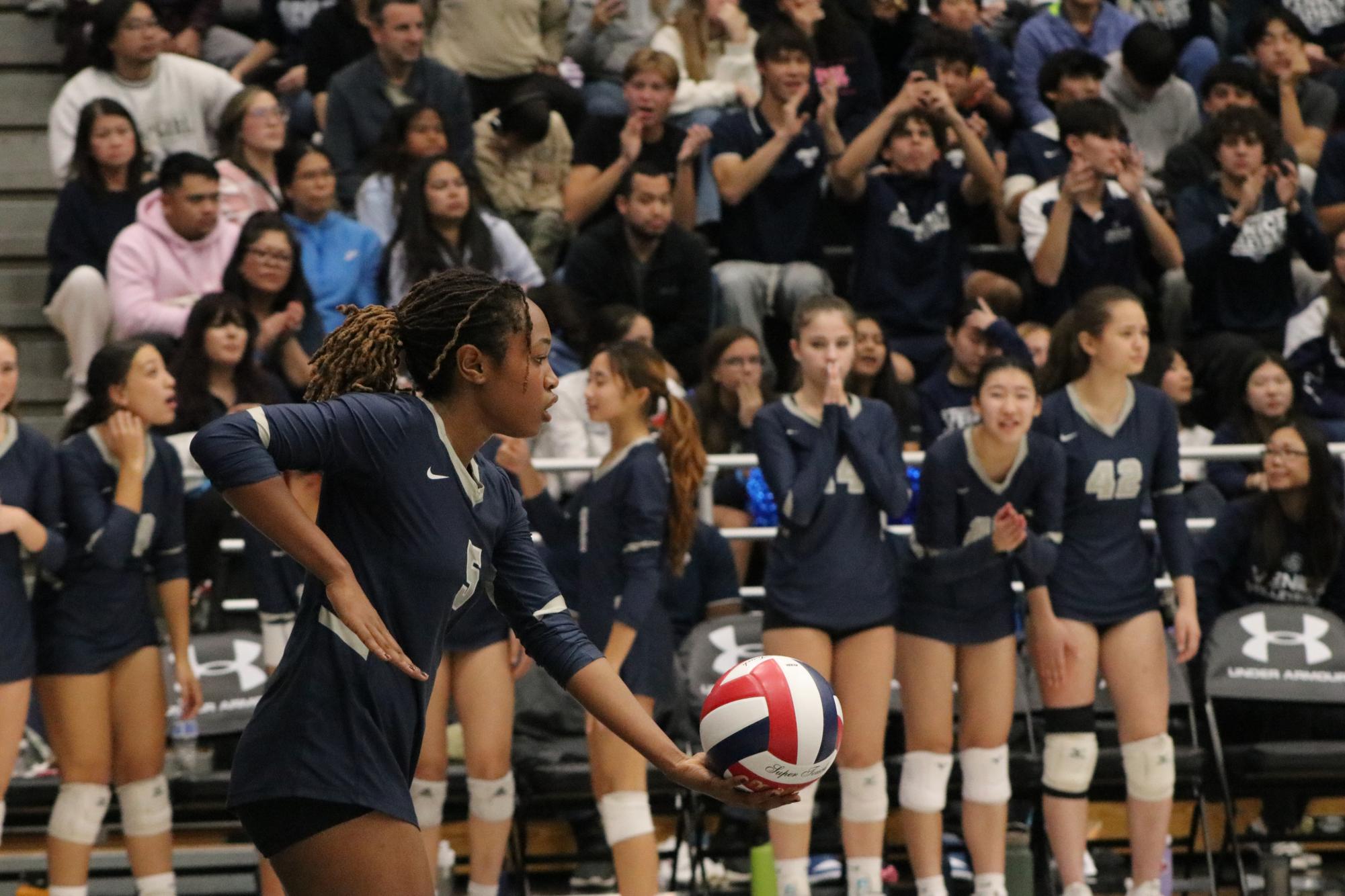 Girls’ Volleyball, 35-6, Ends Season At State Playoffs