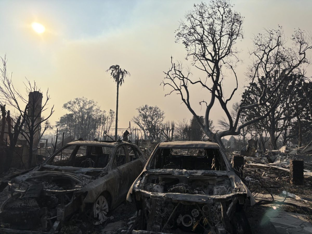 A Scientific Look Into The Recent Los Angeles Fires