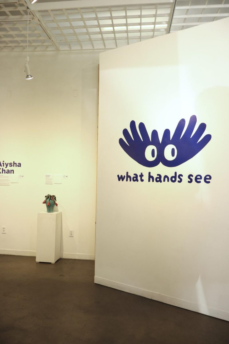 "What Hands See" Offers Art With Vision, Not Sight